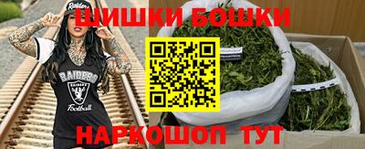 МДПВ Обь