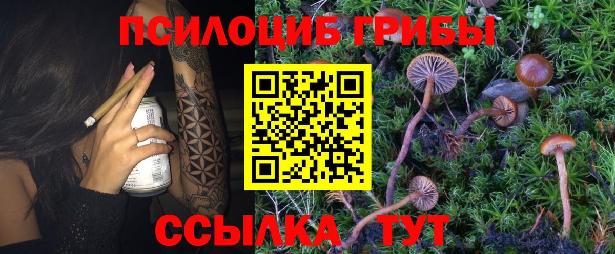 Галлюциногенные грибы мицелий Ульяновск