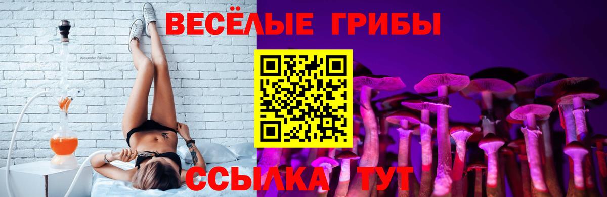 Ульяновск  Псилоцибиновые грибы GOLDEN TEACHER  Вход с VPN 